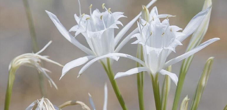 “Dünya adil bir yer değil ne yazık ki!”