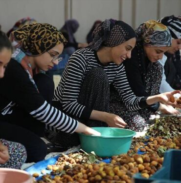 MALATYA KAYISI HASADI