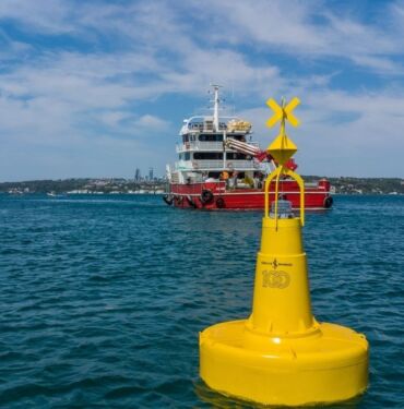 Marmara’daki deniz çayırları şamandıralarla korunacak