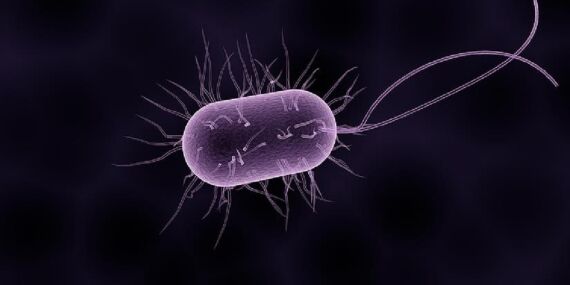 Meğer mikrop yuvasıymış! Herkesin evinde var: Tuvaletten 17 bin kat daha kirli