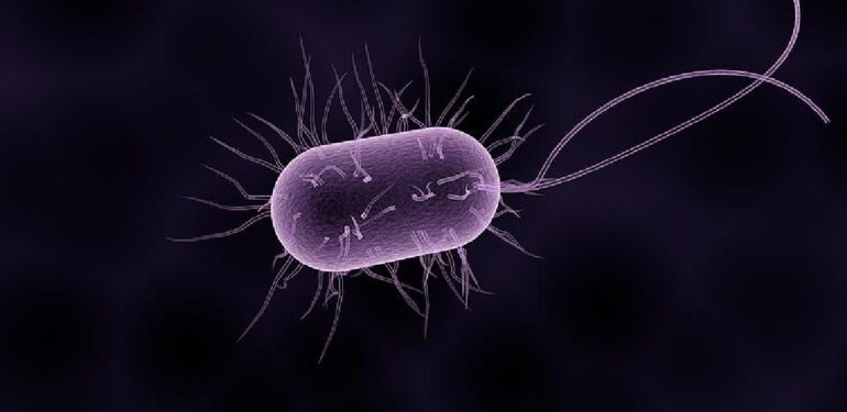 Meğer mikrop yuvasıymış! Herkesin evinde var_ Tuvaletten 17 bin kat daha kirli