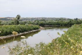 Meriç Nehri'nde su akışını hızlandırma çalışmaları başlıyor