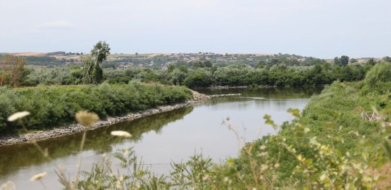 Meriç Nehri'nde su akışını hızlandırma çalışmaları başlıyor