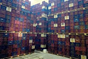 Mersin'de Hal Kayıt Sistemi'ne bildirilmeyen 380 ton limon tespit edildi Mersin'de, Ticaret İl Müdürlüğü ekiplerinin fiy