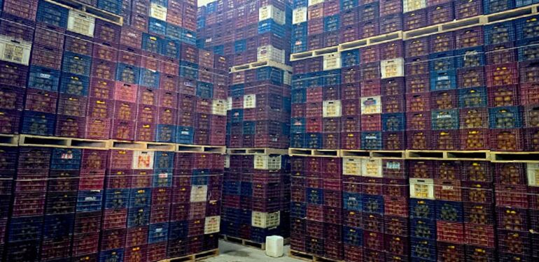 Mersin'de Hal Kayıt Sistemi'ne bildirilmeyen 380 ton limon tespit edildi Mersin'de, Ticaret İl Müdürlüğü ekiplerinin fiy