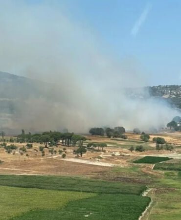 Milas'ta orman yangını Havadan ve karadan müdahale ediliyor