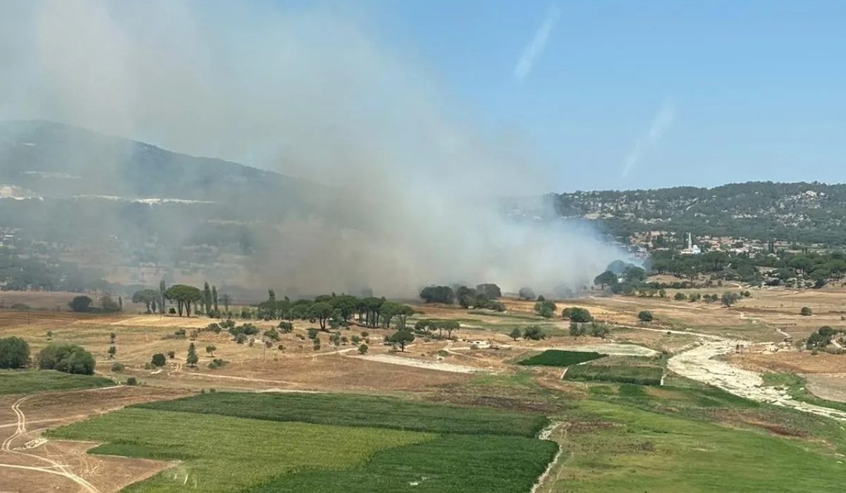 Milas'ta orman yangını Havadan ve karadan müdahale ediliyor