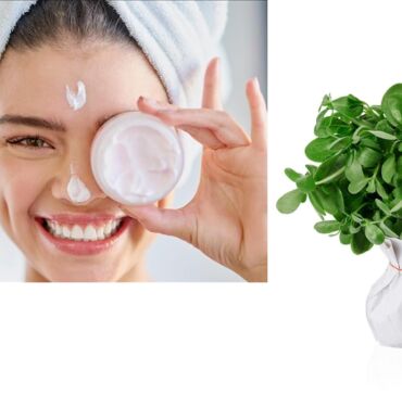 SEMİZOTUNUN CİLDE YARARLARI