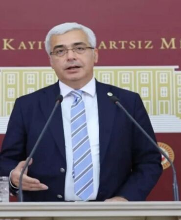 Salih Uzun'dan sokak hayvanları yasasına tepki 'Muhafazakarlığımızı vicdan ile buluşturmayı öneriyorum'