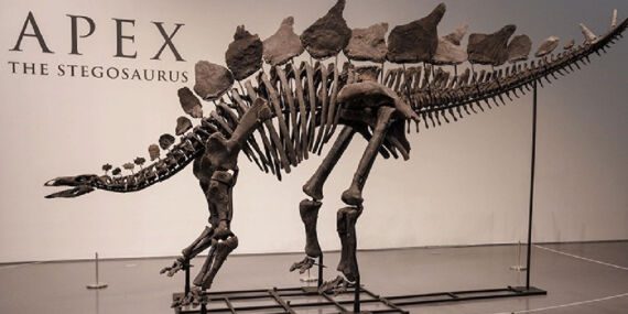 Tarihin en pahalı ikinci dinozor fosili: ‘Jodi’ 47,3 milyon dolara satıldı