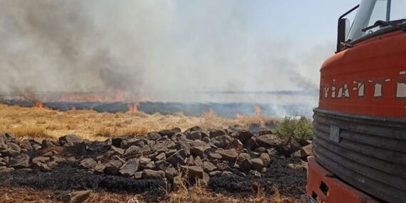 Şırnak’ta anız yangını: 7 saatte söndürüldü