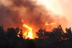 Soma'da orman yangını 2'nci gününde!