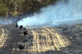 Tekirdağ'da anız yangınında 200 dönüm tarım alanı zarar gördü