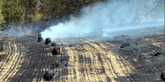 Tekirdağ’da anız yangınında 200 dönüm tarım alanı zarar gördü