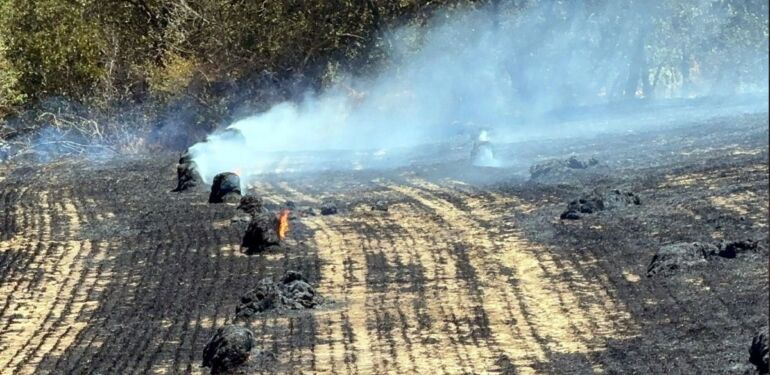 Tekirdağ’da anız yangınında 200 dönüm tarım alanı zarar gördü
