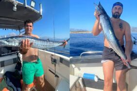 Türkiye'de Şaşırtıcı Keşif_ 110 Santimetre Uzunluğundaki, 5 Kilo Ağırlığındaki Sıra Dışı Varlık!