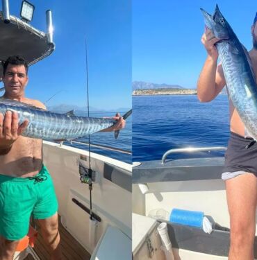 Türkiye'de Şaşırtıcı Keşif_ 110 Santimetre Uzunluğundaki, 5 Kilo Ağırlığındaki Sıra Dışı Varlık!