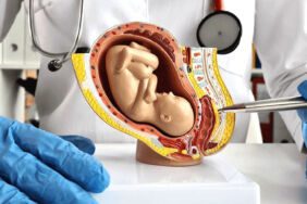 Yapay plasenta_ Prematüre bebekler için kurtarıcı mı_