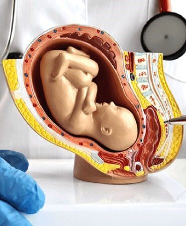 Yapay plasenta_ Prematüre bebekler için kurtarıcı mı_