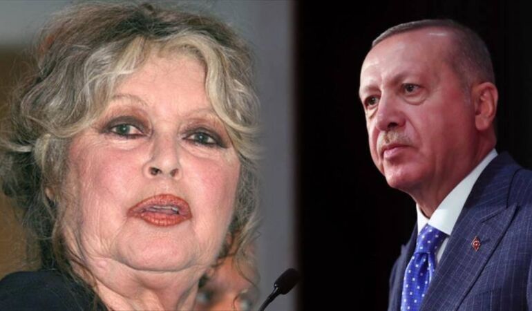 Yeni Proje (3)