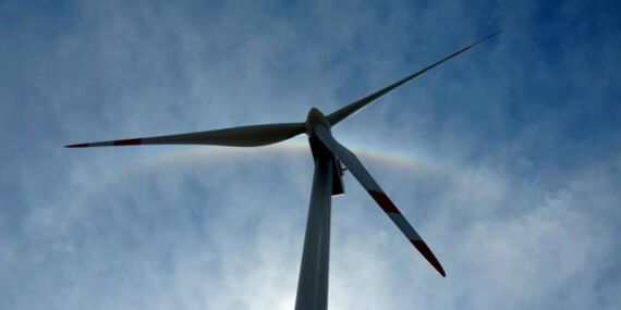 Samsun Büyükşehir Belediyesi Haziran ayında 5 bin 660 ton karbon salınımını engelledi