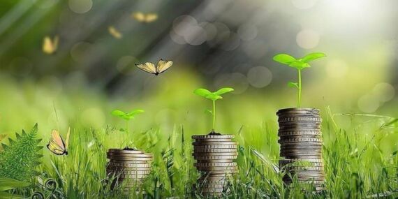 Nijerya’da yenilenebilir enerji sektörüne 2 milyar dolar yatırım yapıldı