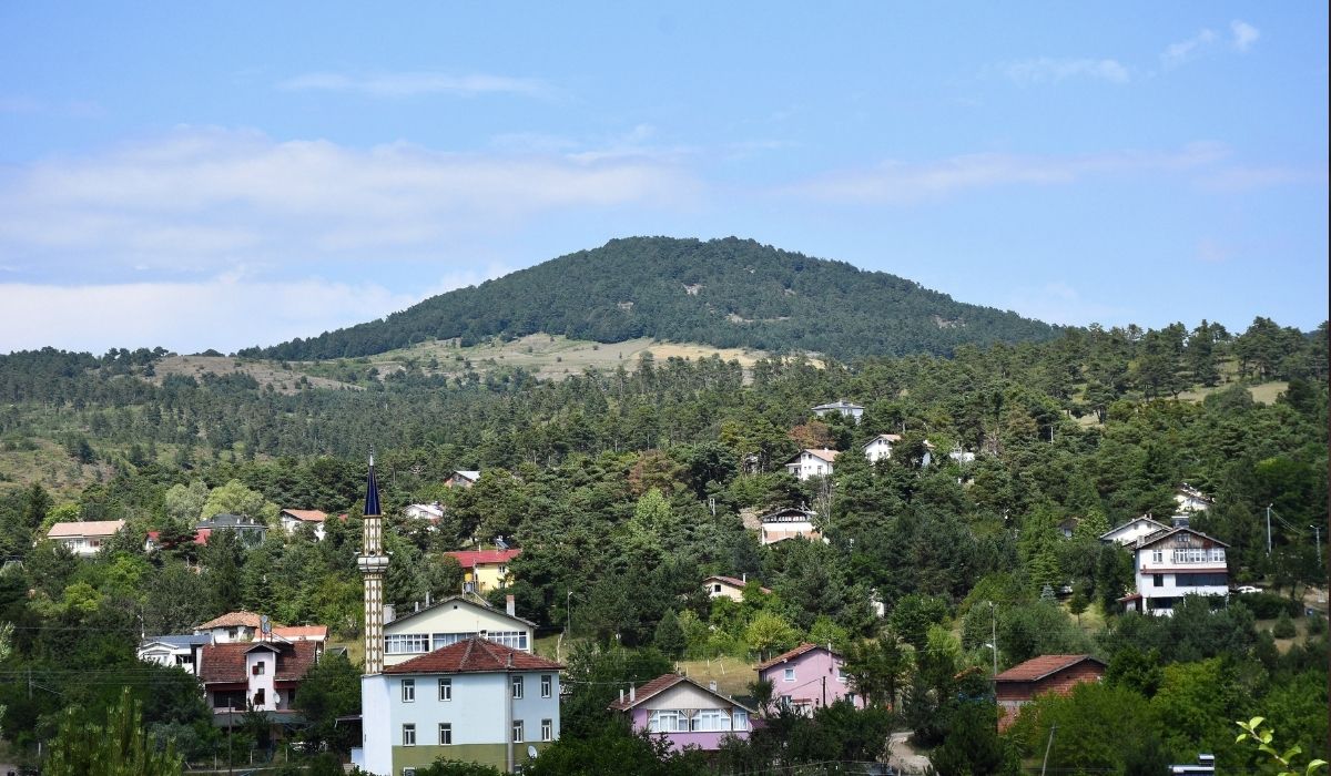 Yeşilin tüm tonlarını barındıran Çamiçi Yaylası ziyaretçilerini ağırlıyor