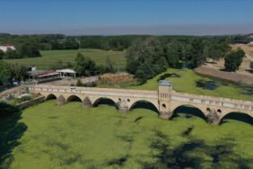 Yosun ve su mercimekleriyle kaplanan Tunca Nehri yeşile büründü