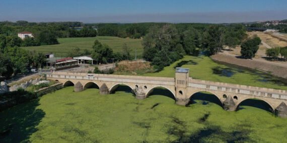Yosun ve su mercimekleriyle kaplanan Tunca Nehri yeşile büründü