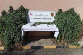 Zonguldak'ta uyuşturucu operasyonu 3 zanlı tutuklandı