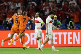 a milli takım hollanda