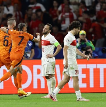 a milli takım hollanda