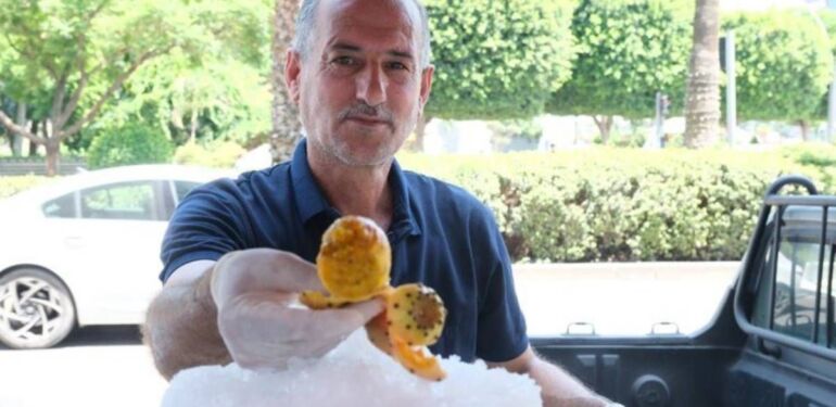 adana