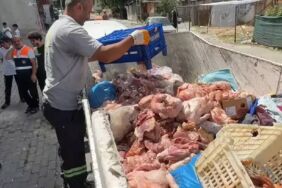 avcılar bozuk tavuk deposu