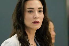 bahar rengin