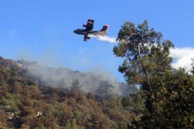 bodrumda orman yangını