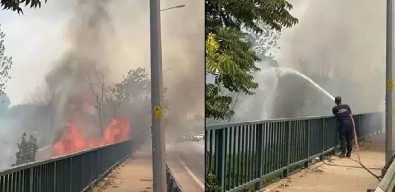 Bursa’da ağaçlık alanda yangın