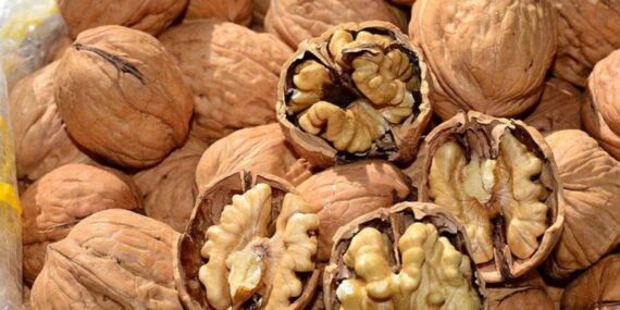 Cevizin faydaları nelerdir? Ceviz tüketmenin avantajları ve etkileri