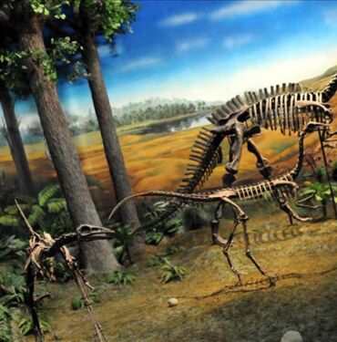 dinozor