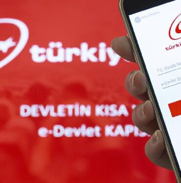 e devlet