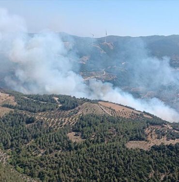 hatay yangın
