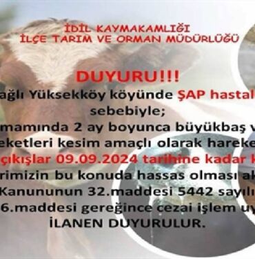 idil şap