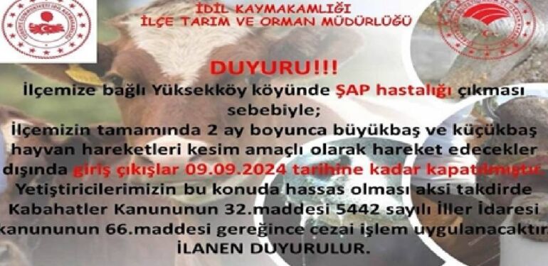 İdil’de şap hastalığı tespit edildi, ilçeye hayvan giriş ve çıkışları yasaklandı