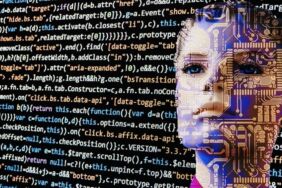 internet çöktü thy krizde