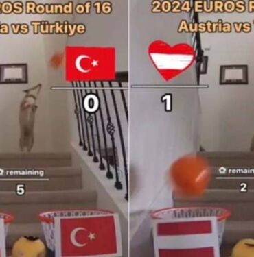 kahin köpek