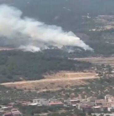 manisa orman yangını