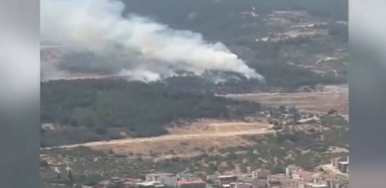 Manisa’da orman yangını