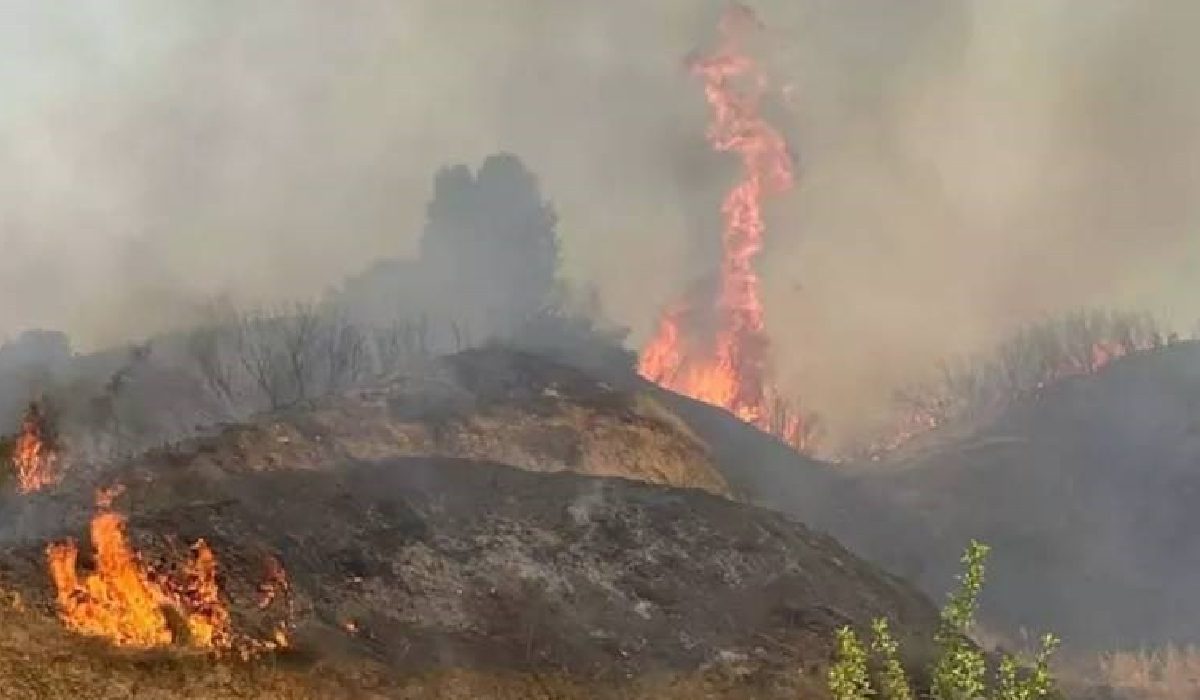 manisa'da orman yangını