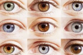 mavi gözlülerin soyu tükeniyor mu