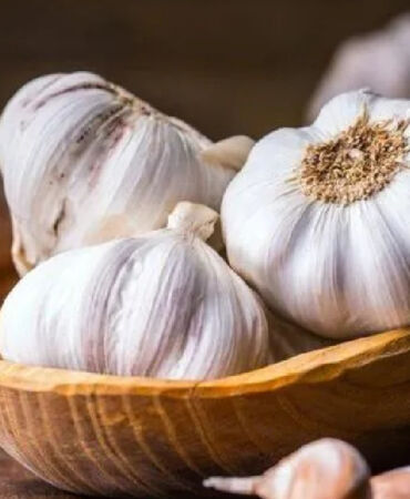 sarımsak